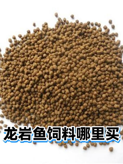 龙岩鱼饲料哪里买